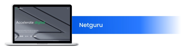 Netguru